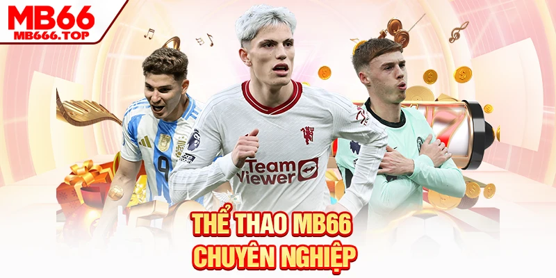 Thể thao MB66 chuyên nghiệp