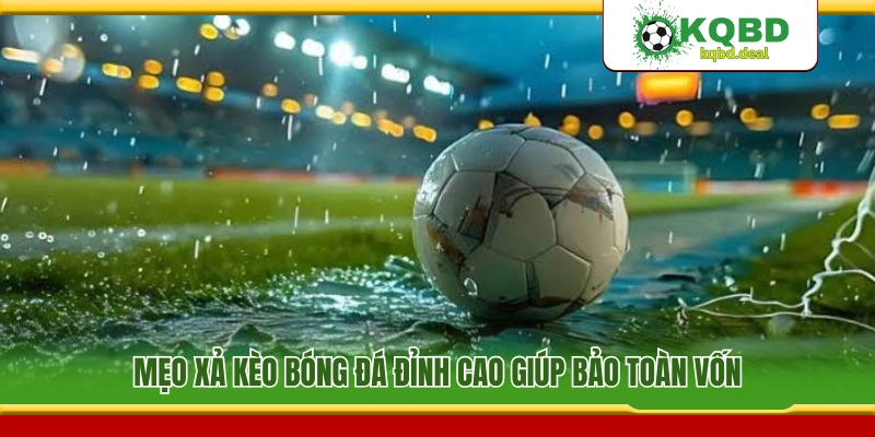Bí quyết xả cược cực chuẩn giúp giữ an toàn nguồn vốn 